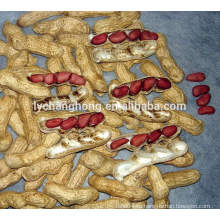 Четыре красные кожи высокого качества арахис из Китая